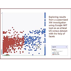 exploring results from a customized XAI investigation using Google WIT tool